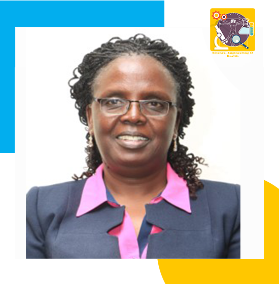 Director sseh